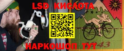 apvp Гусев