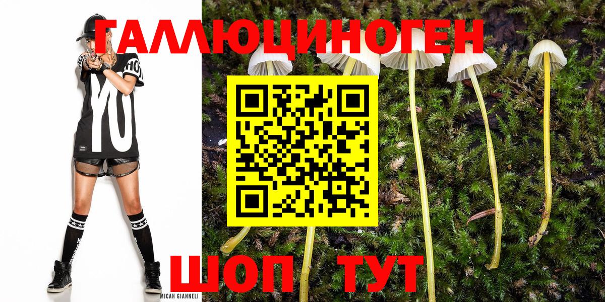 Псилоцибиновые грибы GOLDEN TEACHER  Вход с VPN  Нижневартовск 