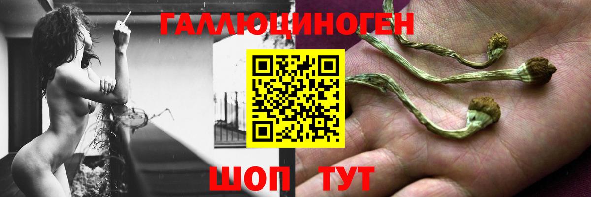 Псилоцибиновые грибы ЛСД Нижневартовск
